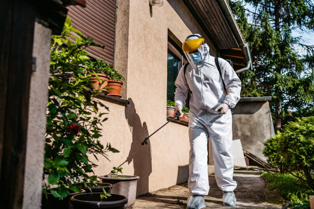 Best Pest Prevention Services  in Hamburg, IA